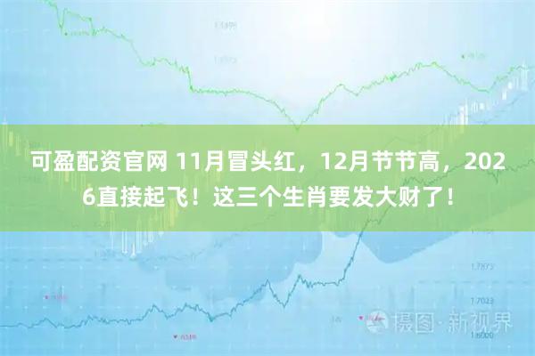 可盈配资官网 11月冒头红,12月节节高,2026直接起飞!这三个生肖要发大财了!