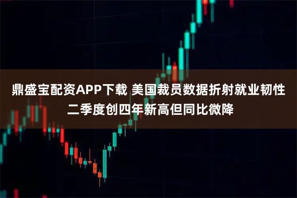 鼎盛宝配资APP下载 美国裁员数据折射就业韧性 二季度创四年新高但同比微降